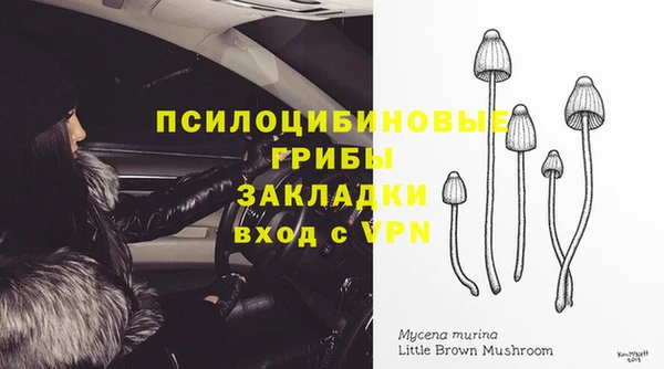 ECSTASY Абдулино